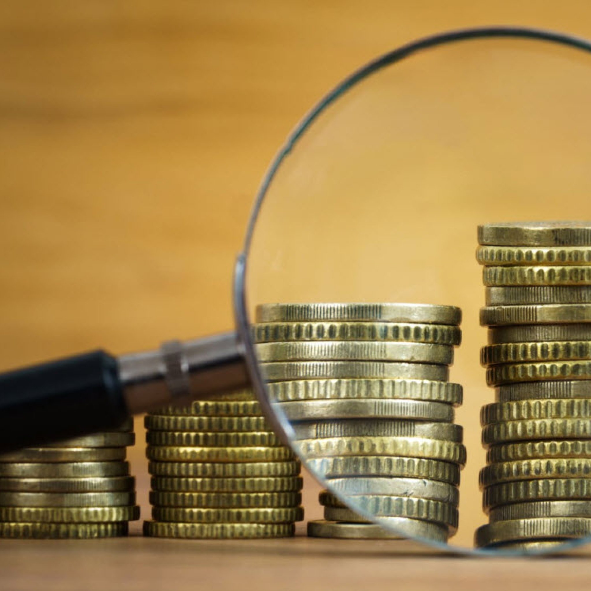 Belediyelerde Gelirler Müdürlüğü Yapılanması ve Gelir Yönetimi (İstanbul)