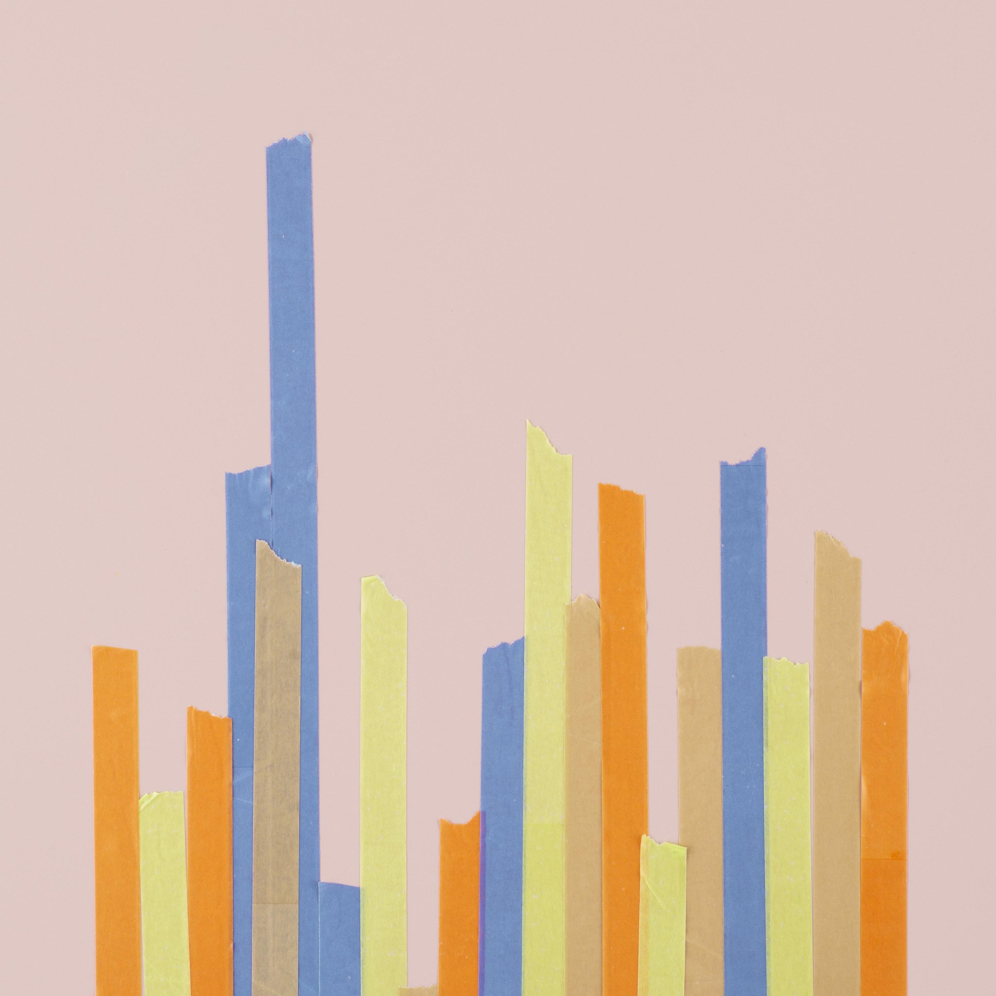 Belediyelerde Gelirler Müdürlüğü Yapılanması ve Gelir Yönetimi (Tekirdağ-Kırklareli-Edirne)