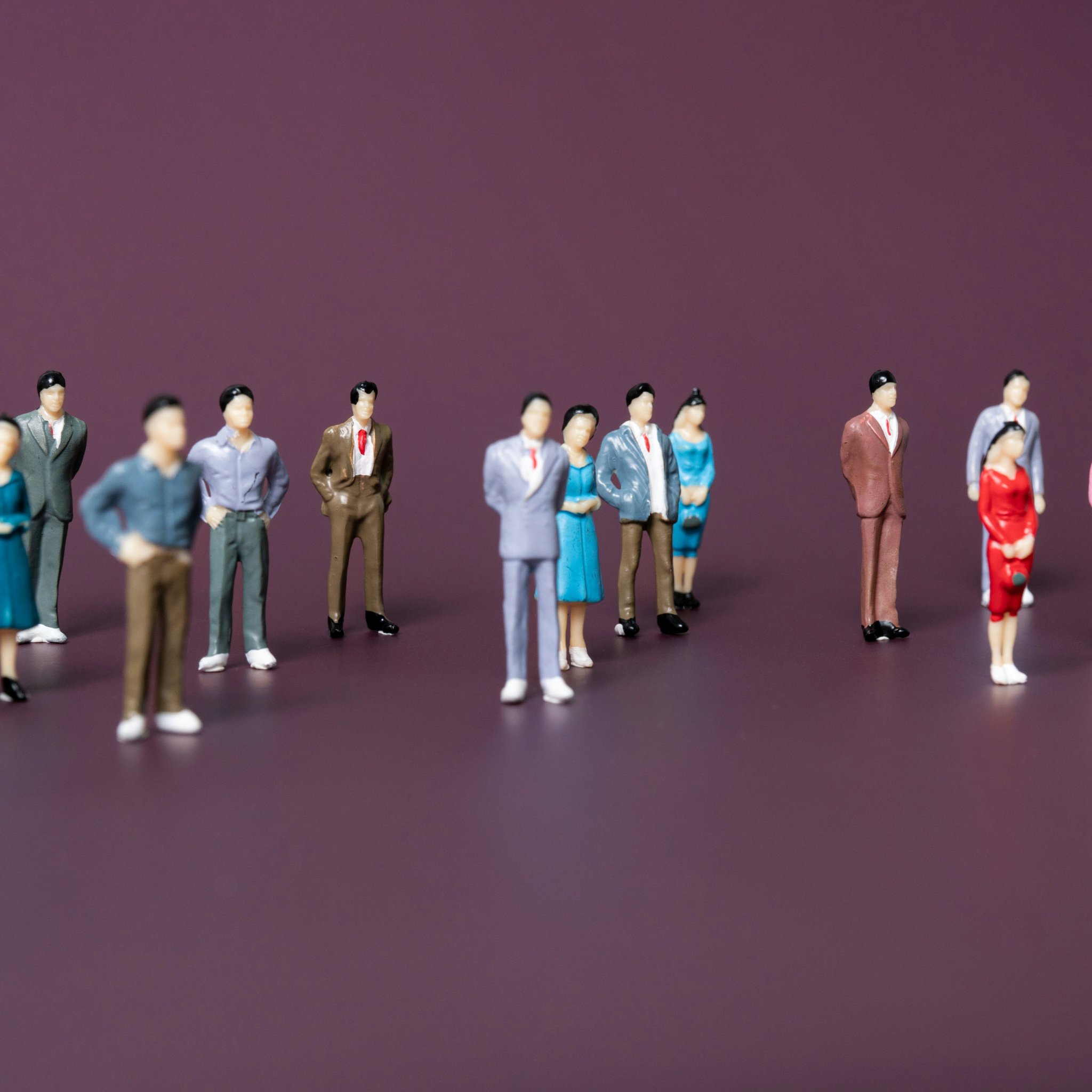 Zabıta Gelişim Programı (İstanbul Anadolu)