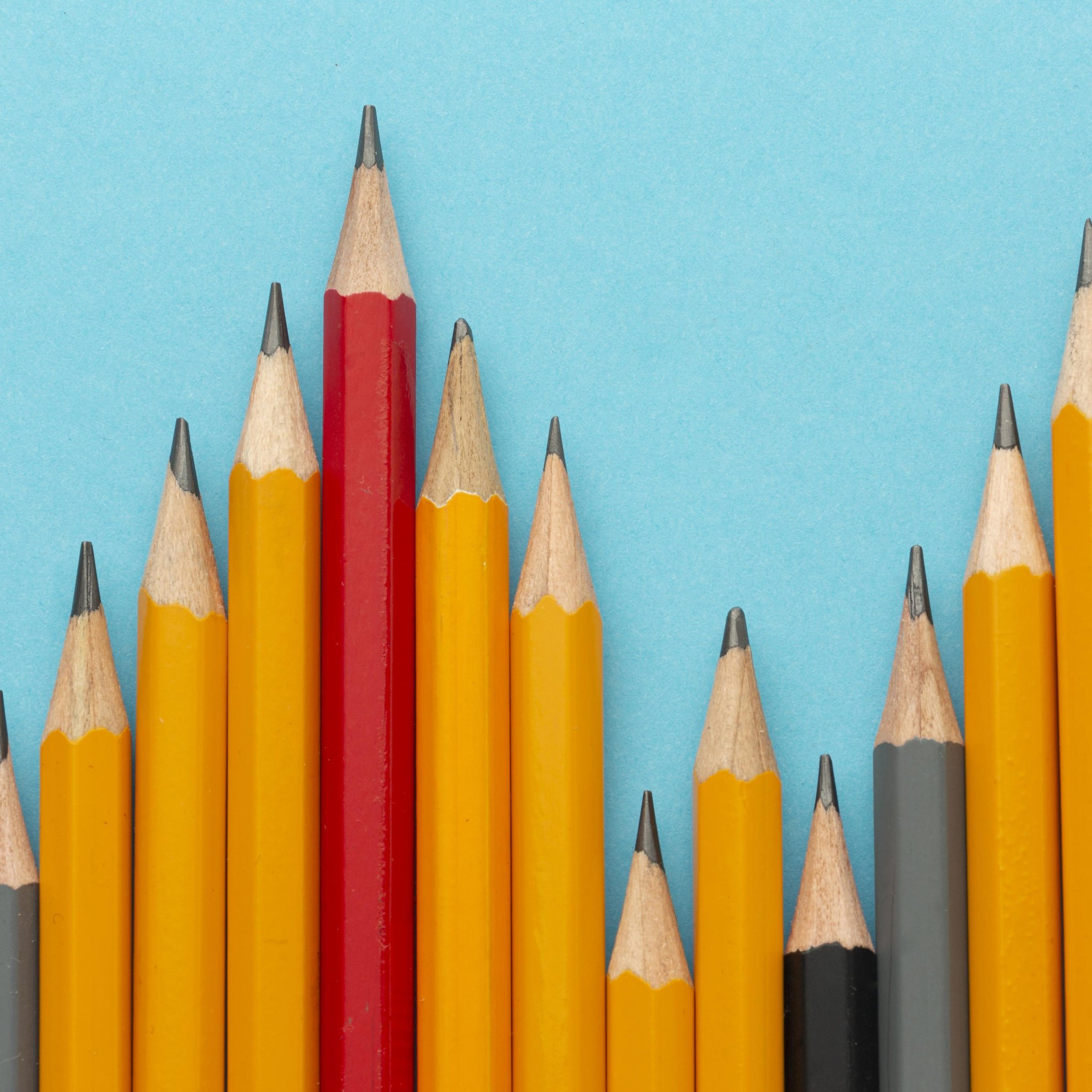 Belediyelerde Gelirler Müdürlüğü Yapılanması ve Gelir Yönetimi (Sakarya-Kocaeli)