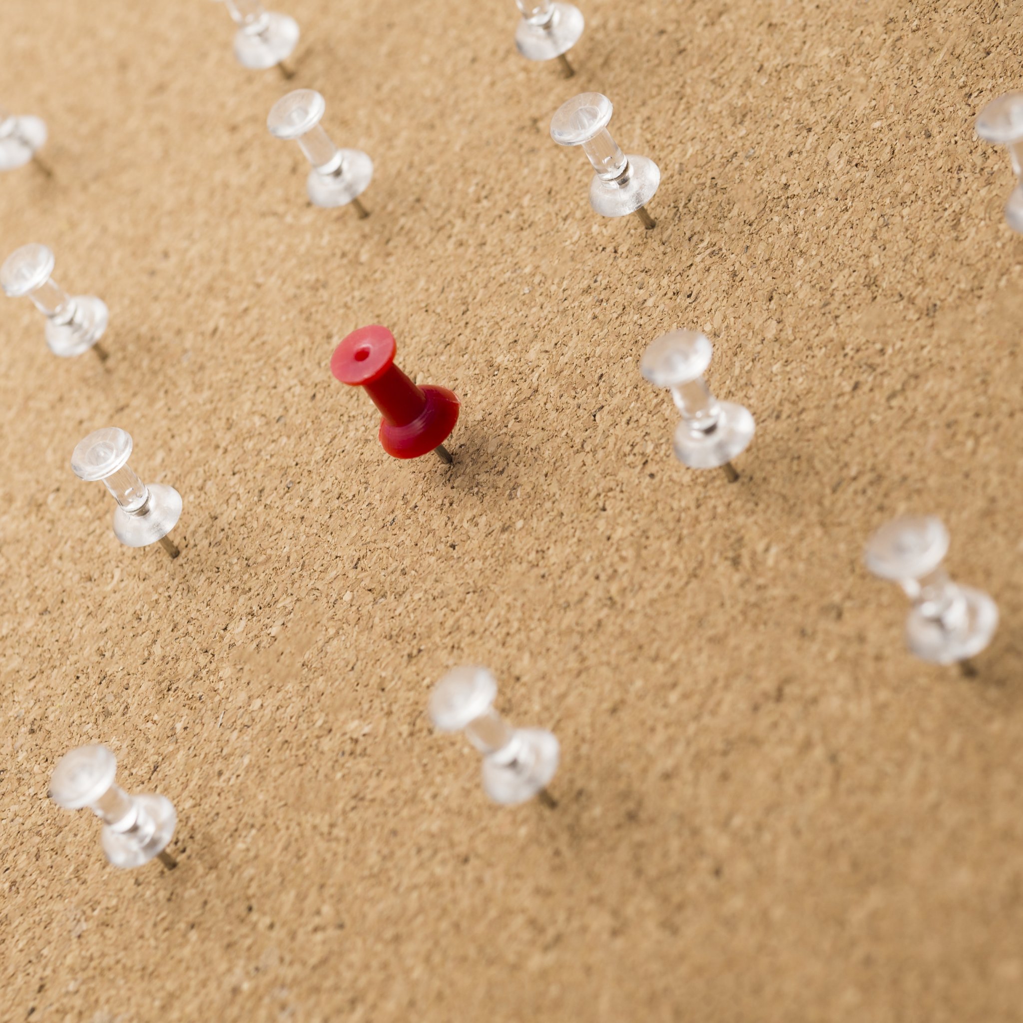 Protokol ve Nezaket Kuralları (Edirne)